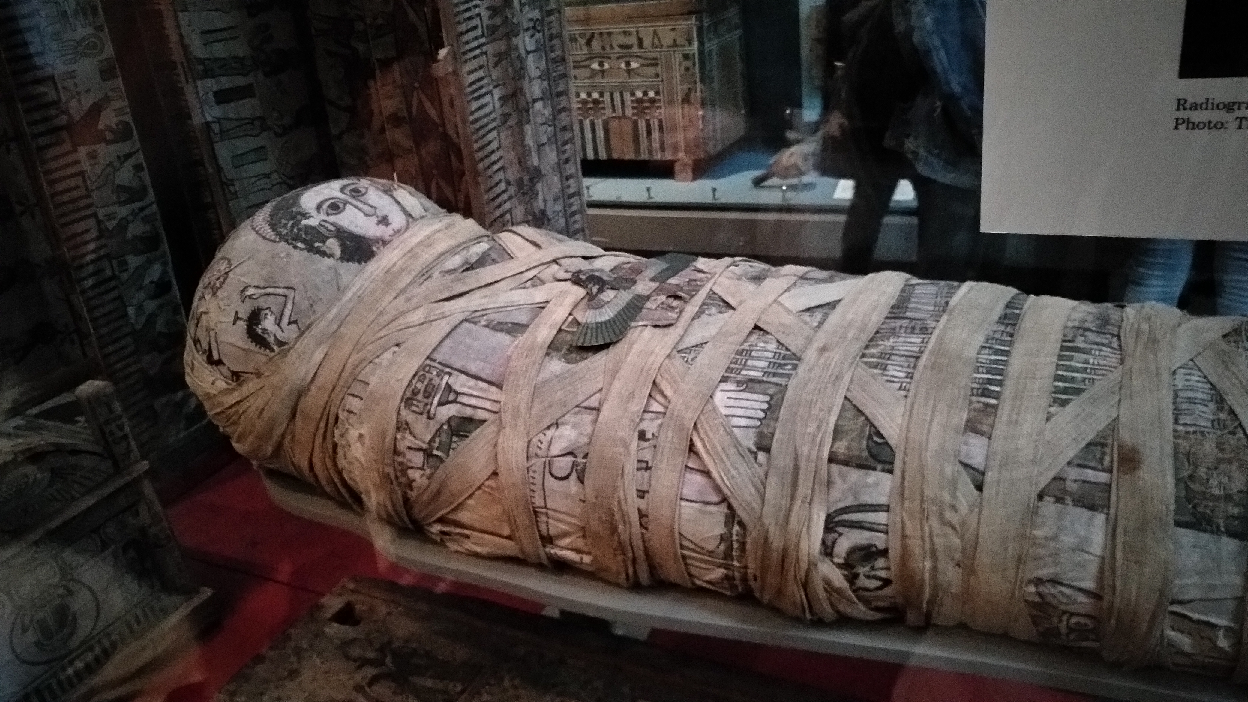 EarthDate What does a mummy smell like, mummified bodies