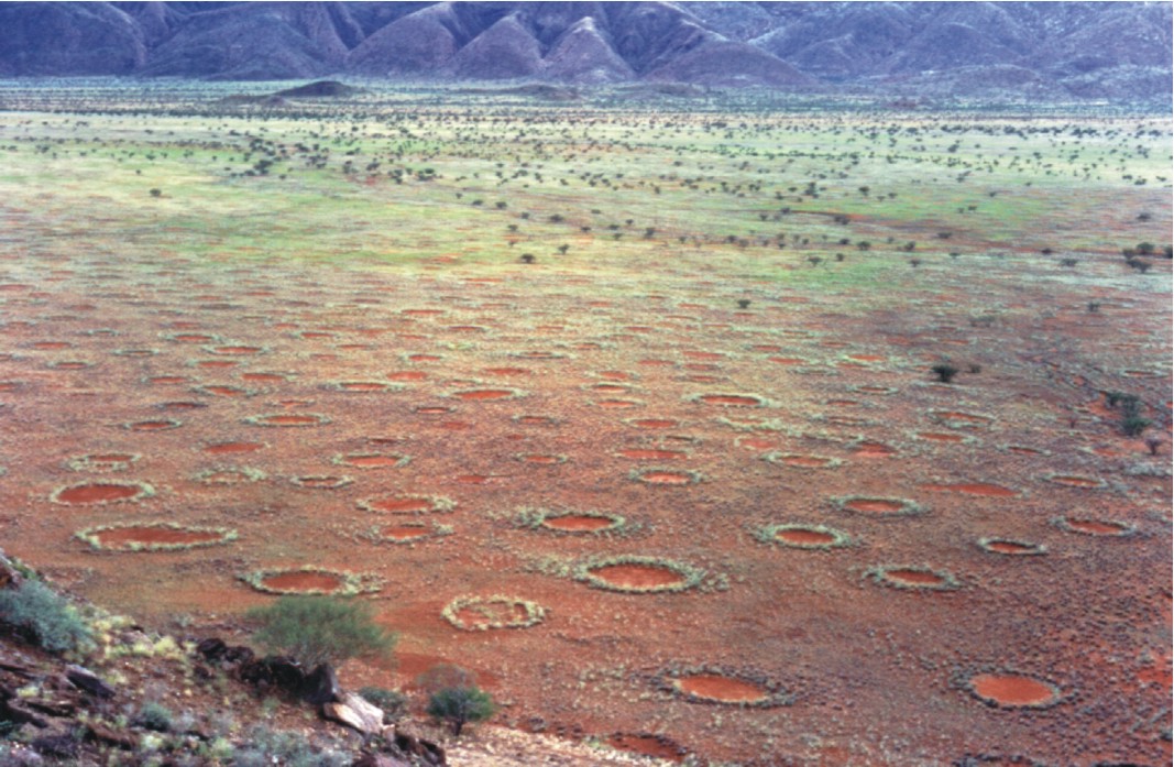 EarthDate 446-5  Fairy circles—circular patches of barren land—are believed to form where hydrogen gas seeps to the surface