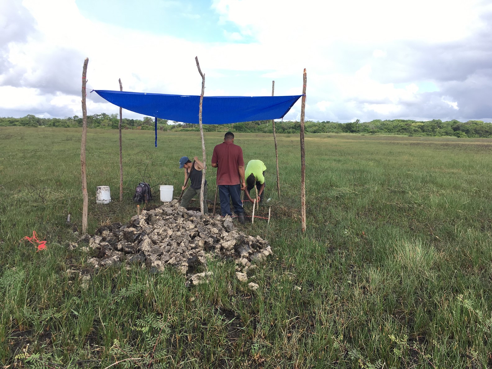 EarthDate 447-5  Researchers excavating sediment that will be sequenced to help them date the evidence of a large-scale pre-Columbian fish-trapping facility.