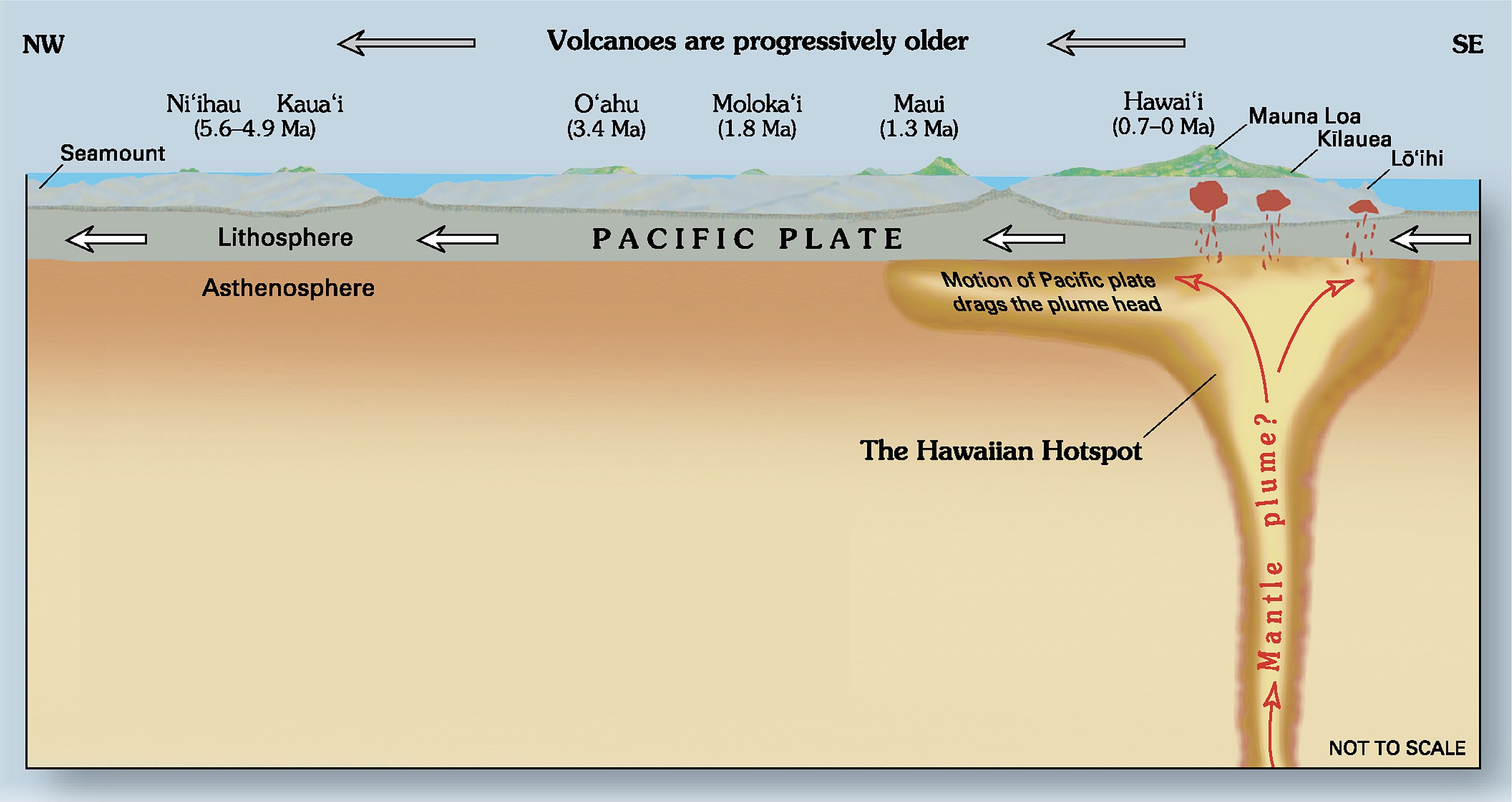 EarthDate 453-2 The traditional view of hotspots is displayed by the motion of the Pacific plate over the top of the stationary Hawaiian hotspot.