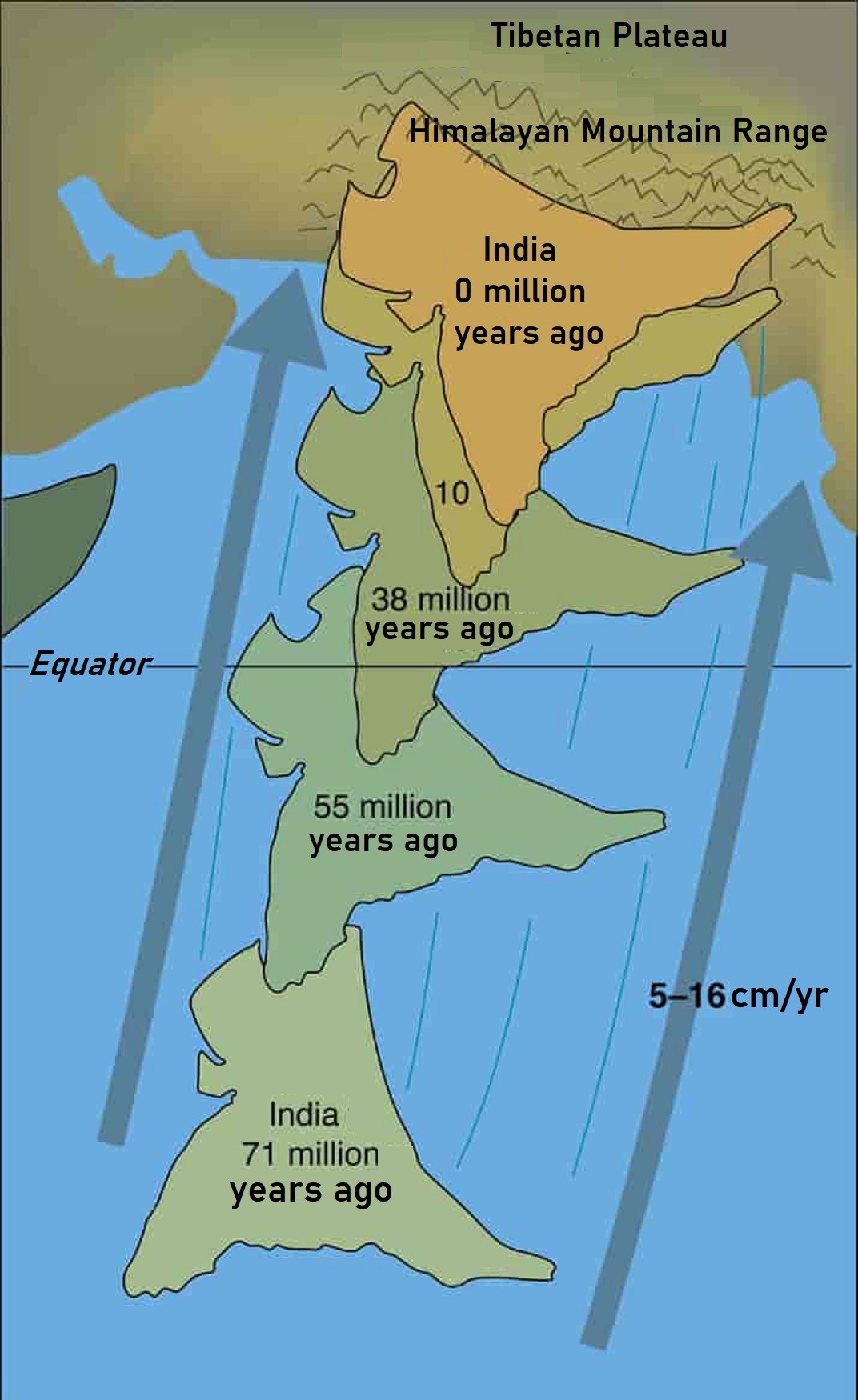 EarthDate 453-3 The Indian plate moved toward the Eurasian plate at variable rates over the last 71 million years.