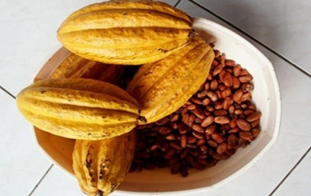 ED 459 Drink of the Emperors