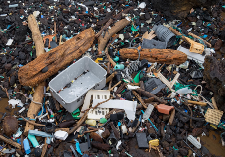 ED486 Ocean Cleanup