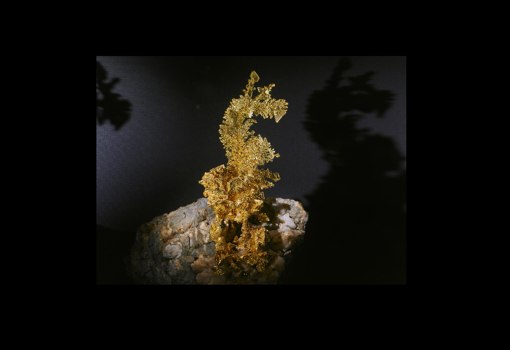 ED490-Gold is Abundant