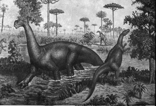 ED498 What Did Dinosaurs Eat