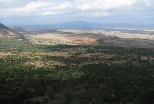 ED501 Cradle of Humankind?