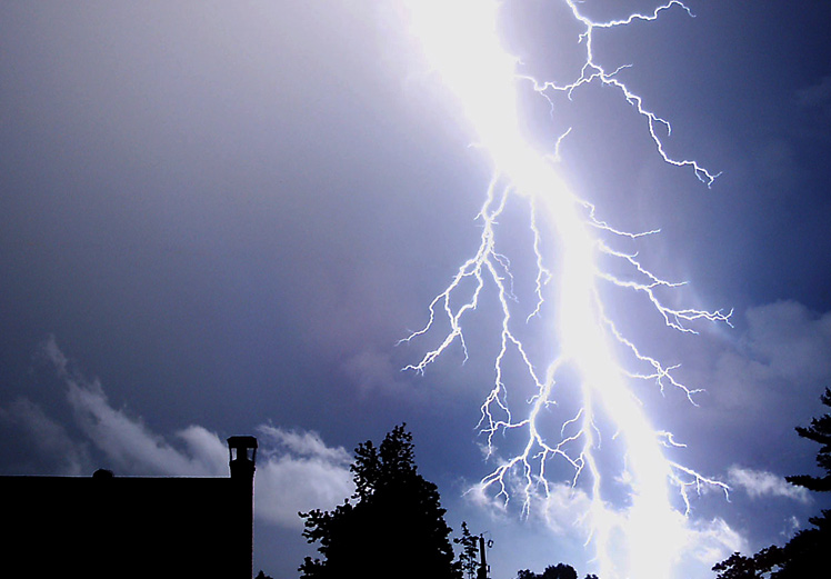 Lightning Strikes - and plants love it  