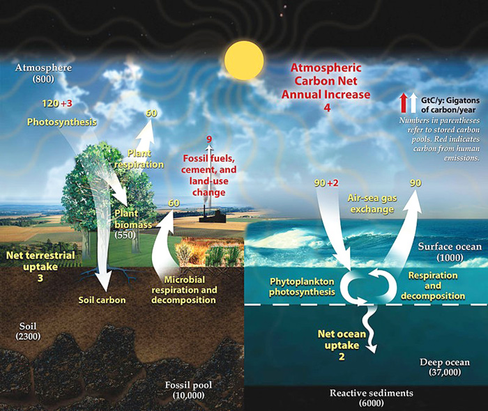 Recycling Carbon