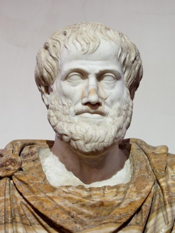 ED455 Aristotle Full Beard