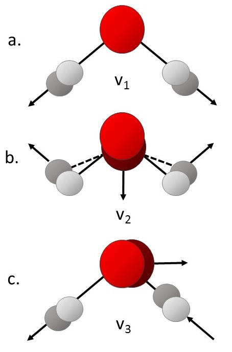 The bent water molecule H2O can vibrate in three different ways. It is helpful to think of metal spheres attached to strong springs when visualizing these vibrations.