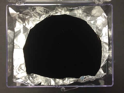 Vantablack grown on wrinkled metallic foil. It absorbs so much light you can’t see the wrinkles.