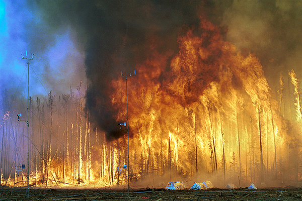 Firefighters study fire behavior 