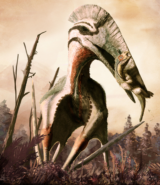 Fossil trackways show that pterosaurs were quadrupeds