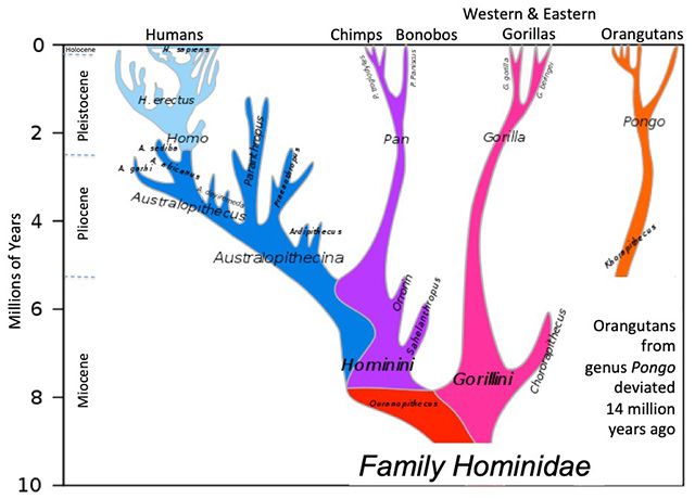 Last Branch on the Family Tree | EarthDate