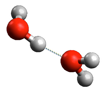 The red oxygen atom has a negative charge and attracts the positively-charged hydrogen atom