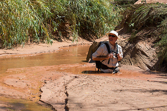 Quicksand in Courthouse Wash at Arches National Park in Utah. Credit: Arches National Park [Public domain]