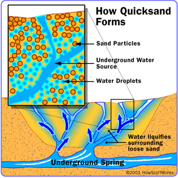 Quicksand forms when water-saturated sand is agitated, breaking down frictional forces so that it is no longer able to support weight.