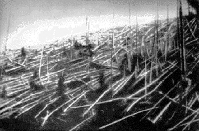 Fallen trees at Tunguska, 1927. Credit: By CYD [Public domain]