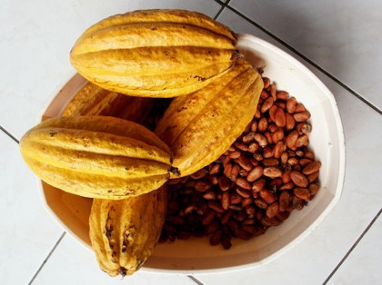 Cacao Beans