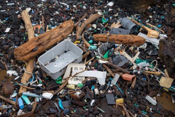 ED486 Ocean Cleanup