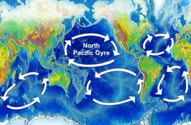 ED486 Ocean Cleanup Gyers