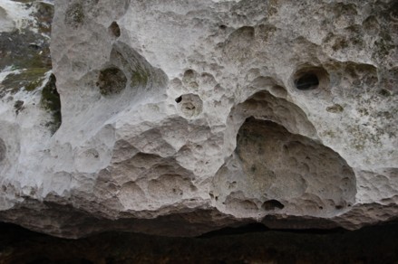 ED488 Warm Springs for Winer Manatees Limestone