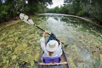 ED488 Warm Springs for Winer Manatees Canoeist