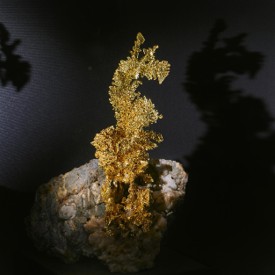 ED490 Gold is Abundant