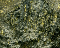 ED490 Gold is Abundant Rock