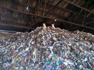 ED495 Important Trash