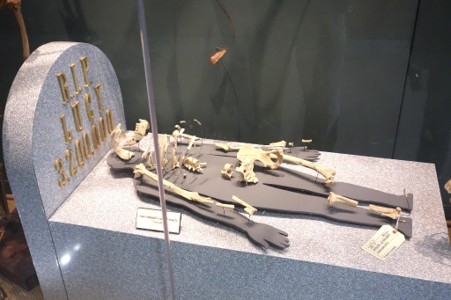 ED501 Cradle of Humankind? 6