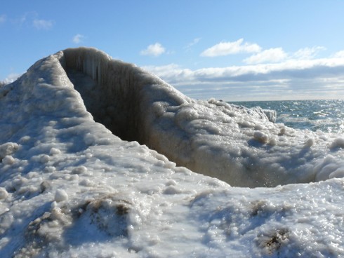 ED505 Greatly Varied Ice 4