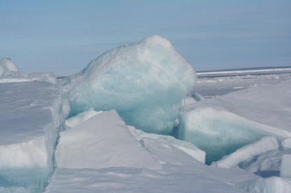 ED505 Greatly Varied Ice 5