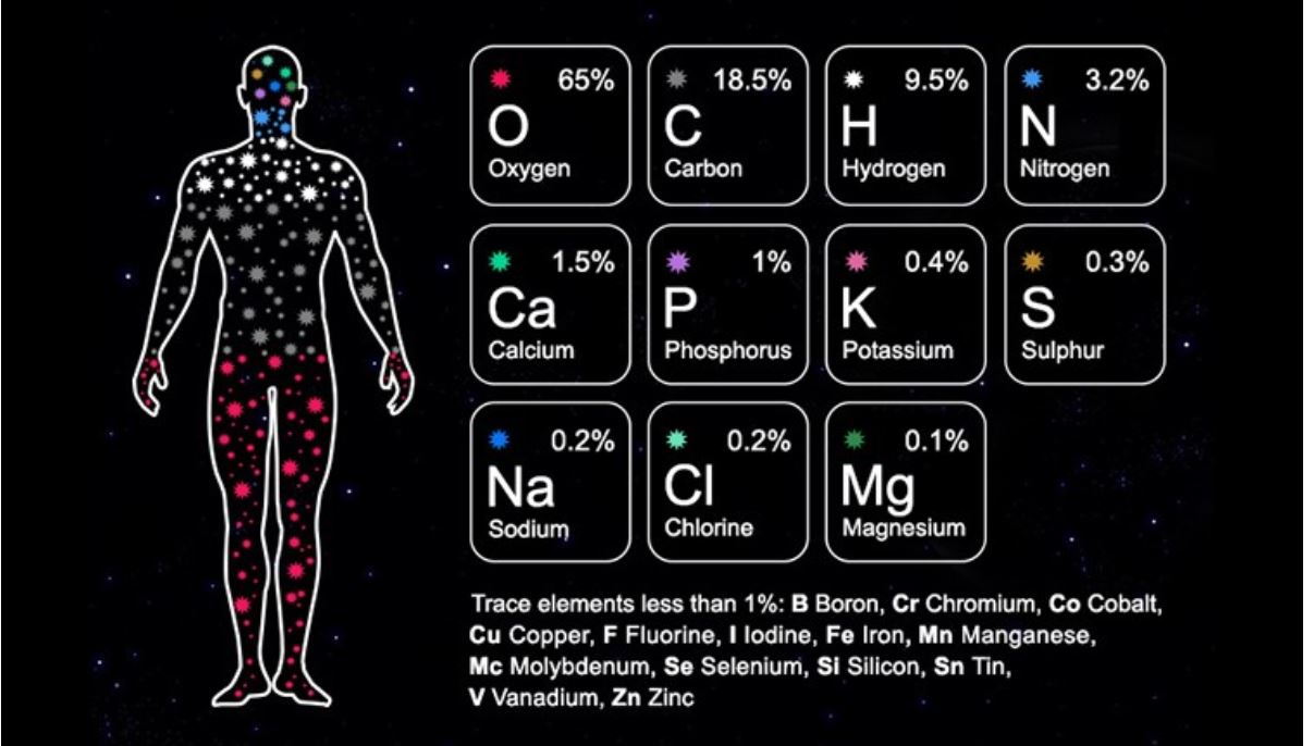This chart accounts for 99.9% of the elements in the typical human body