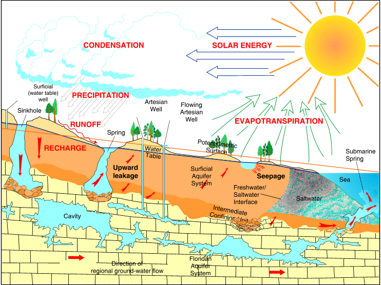 Cartoon illustrating the relationship among sinkholes, artesian wells, and springs within the Florida aquifer system.