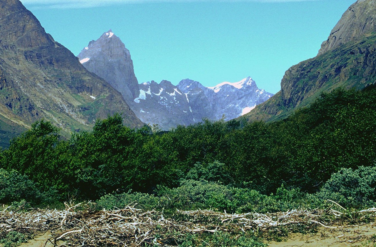 The Qinngua Valley at the southernmost tip of Greenland