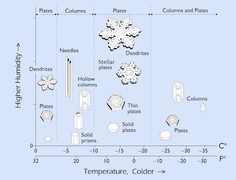 snowflake morphology
