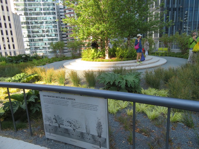 Rooftop wetland garden