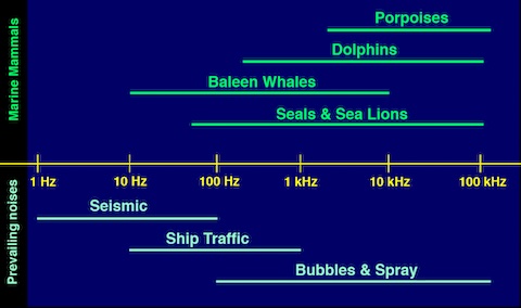 comparison of frequency ranges of marine mammals