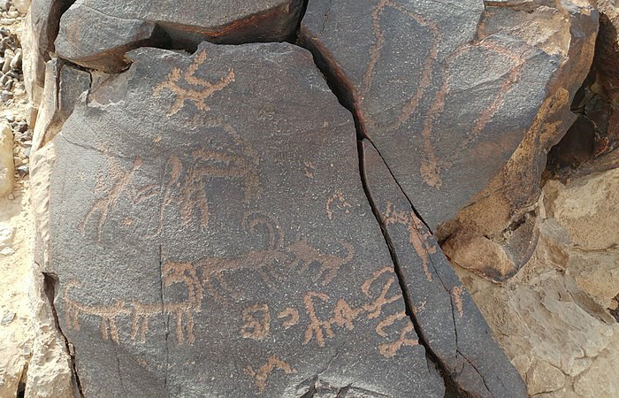 A petroglyph portraying a hunting scene with a dog or wolf