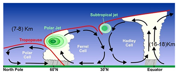 Northern Hemisphere cross section showing jet streams and tropopause elevations