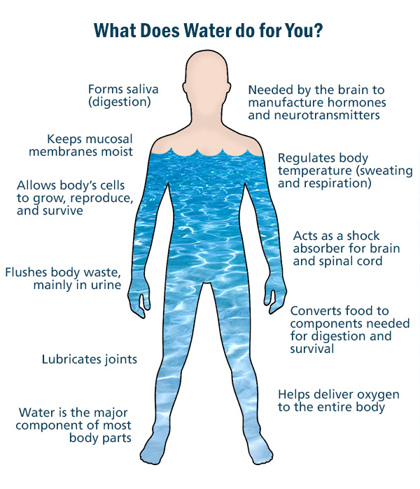 The Life of the Body
