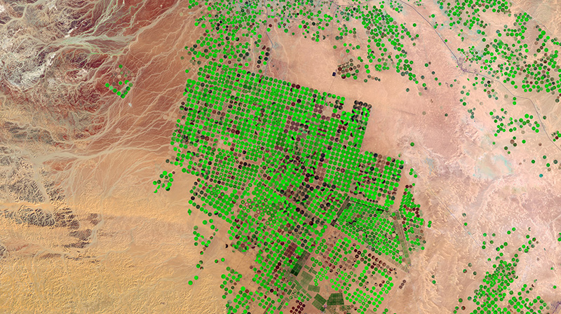 2016 Landsat 8 image