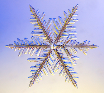 irregular snowflake