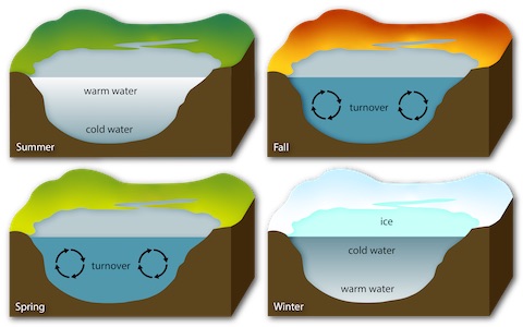 lake turnover