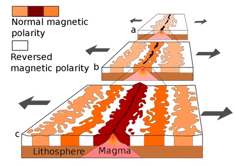 magnetic striping formation model