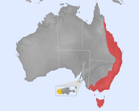 platypus distribution map