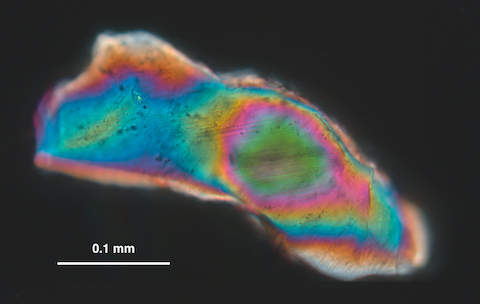 shocked grain of quartz