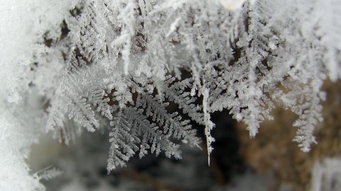 snow crystals