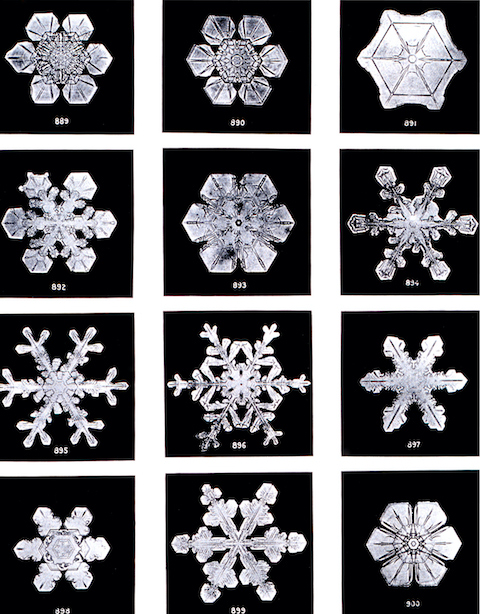 snowflakes-wilson-bentley